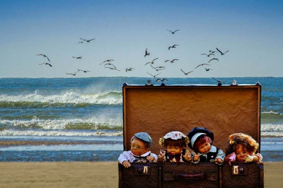 Gulls children cute