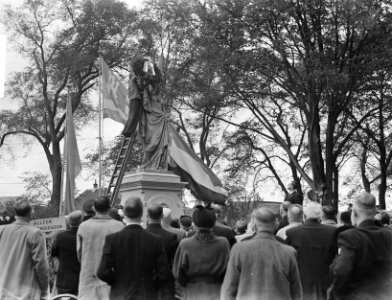 Feestelijkheden Alkmaars ontzet, Bestanddeelnr 904-2364