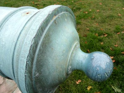 Federalista cannon - University of Kentucky - DSC09123