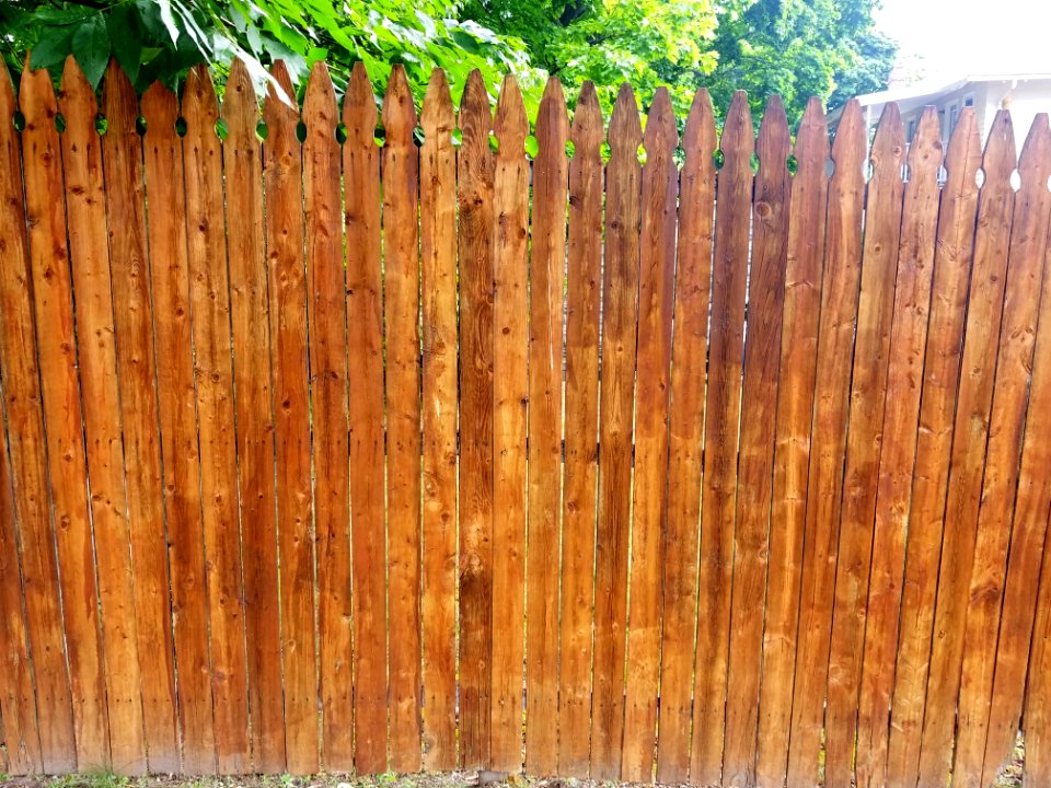 Fence - Arlington, MA - 20200722 092639
