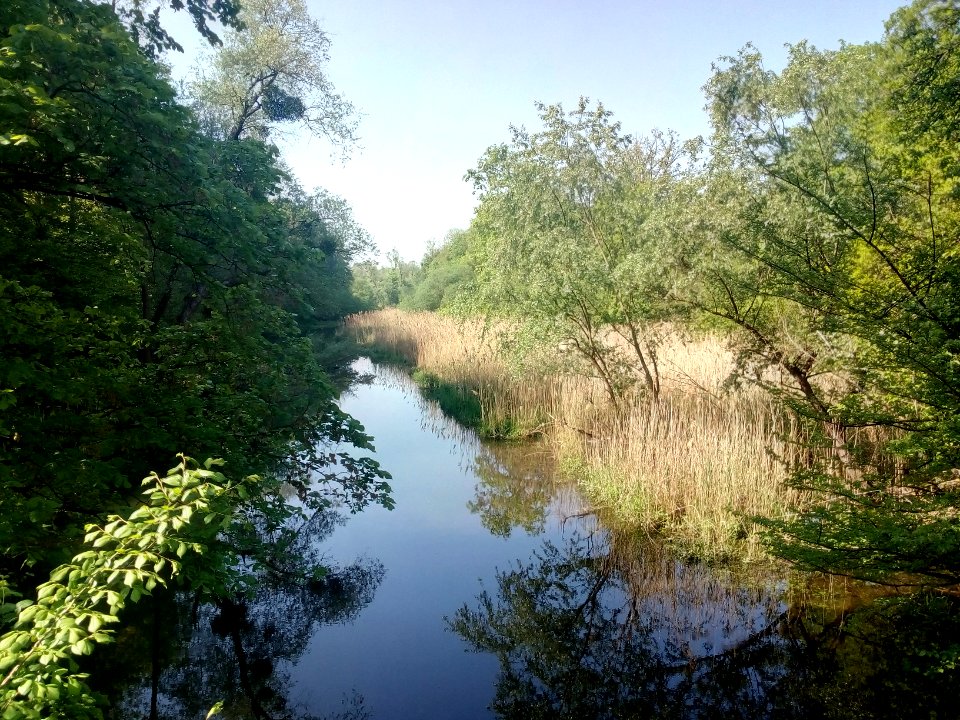 Federbach, Kastenwört, Karlsruhe