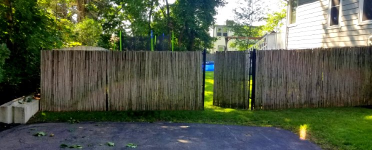 Fence - Arlington, MA - 20200801 091708