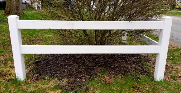 Fence - Arlington, MA - 20200420 132308