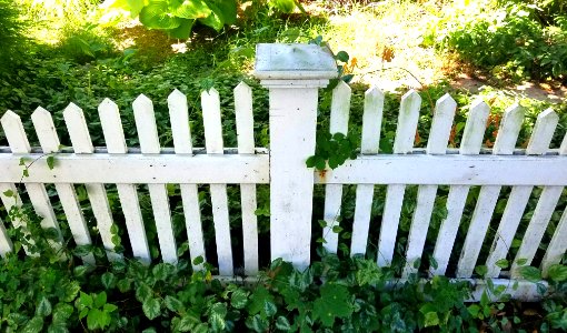 Fence - Arlington, MA - 20200729 100928