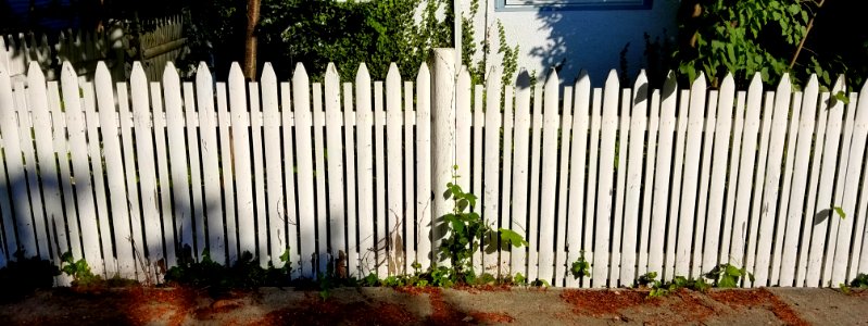 Fence - Arlington, MA - 20200811 081945