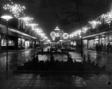 Feestelijke straatverlichting in een Rotterdamse winkelstraat, Bestanddeelnr 919-8286