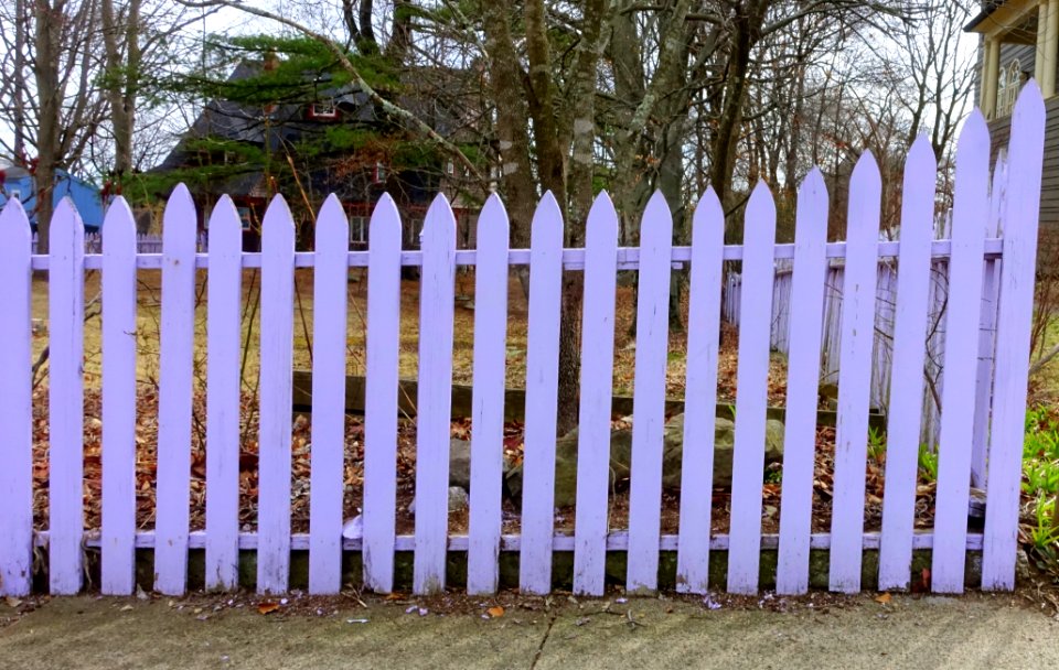 Fence - Arlington, MA - DSC09550