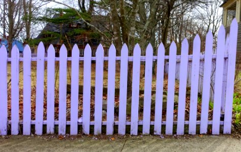 Fence - Arlington, MA - DSC09550