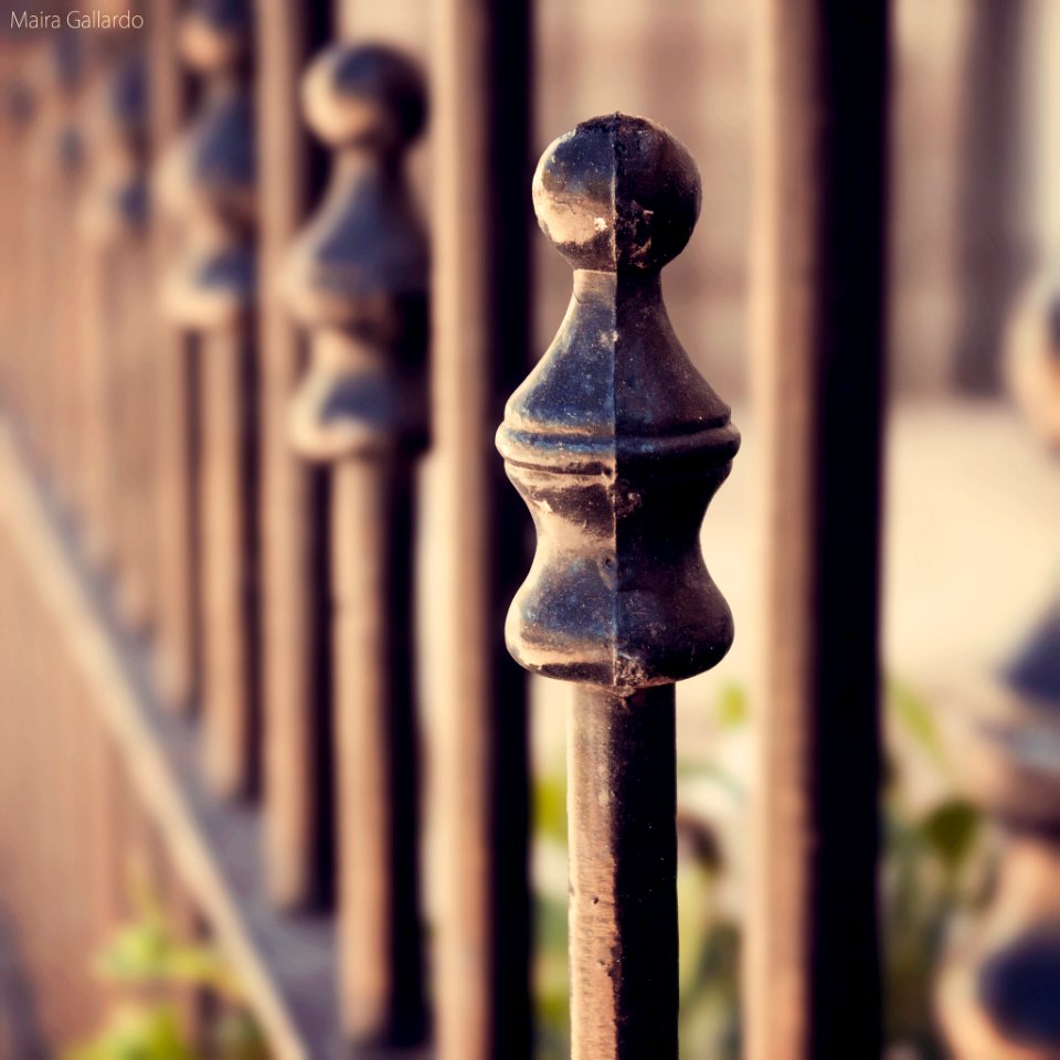 Fence (2765700)