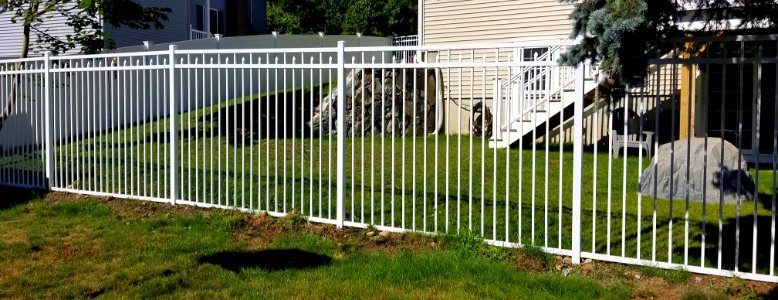 Fence - Arlington, MA - 20200716 092647