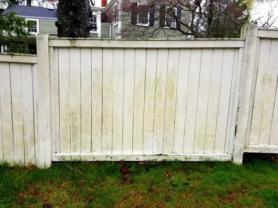 Fence - Arlington, MA - 20200427 103541