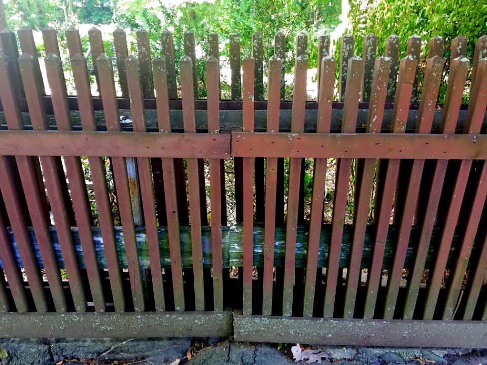 Fence - Arlington, MA - 20200731 104131