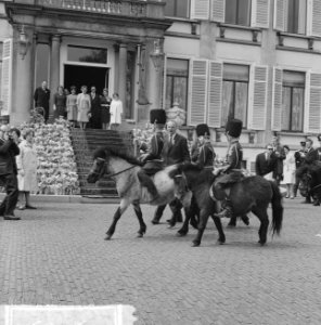 Feest op Soestdijk, defile, Bestanddeelnr 915-1054