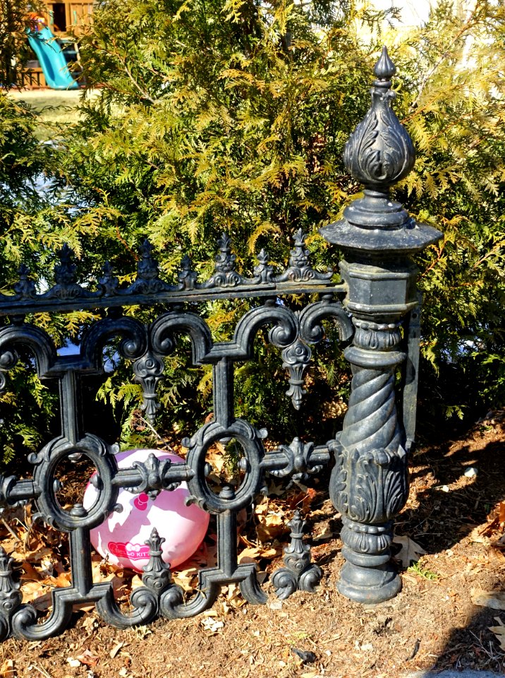 Fence - Arlington, MA - DSC08699
