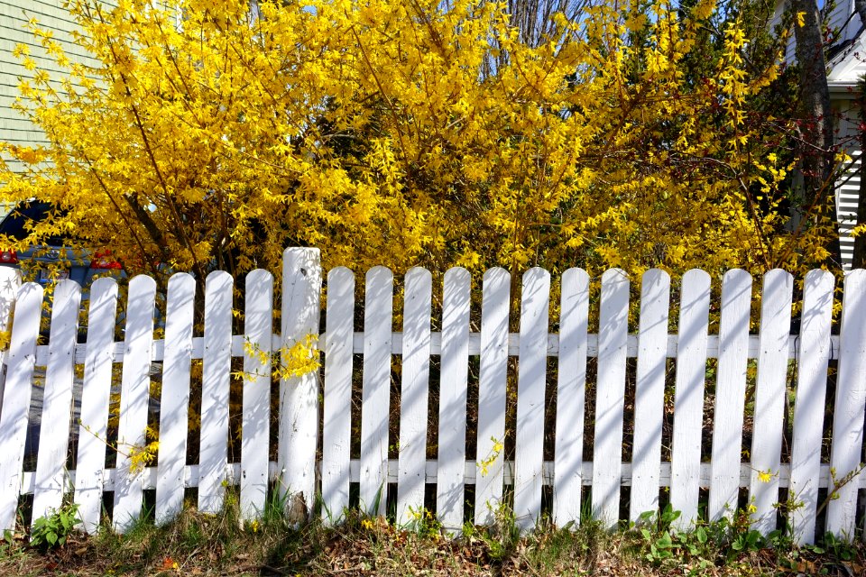 Fence - Arlington, MA - DSC00411