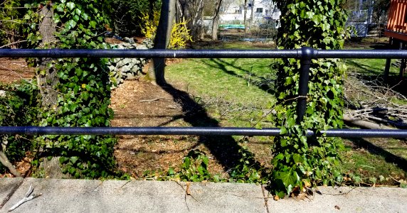 Fence - Arlington, MA - 20200419 104330