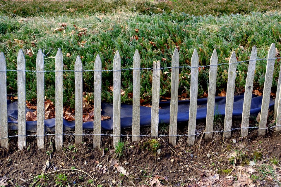 Fence - Arlington, MA - DSC00108