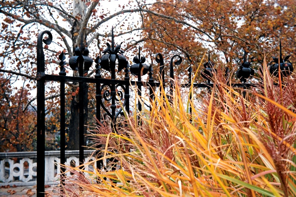 Fence, Mellon Park, 2008-11-02, 02