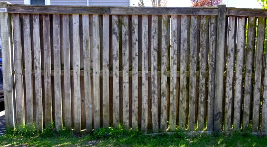 Fence - Arlington, MA - DSC01574
