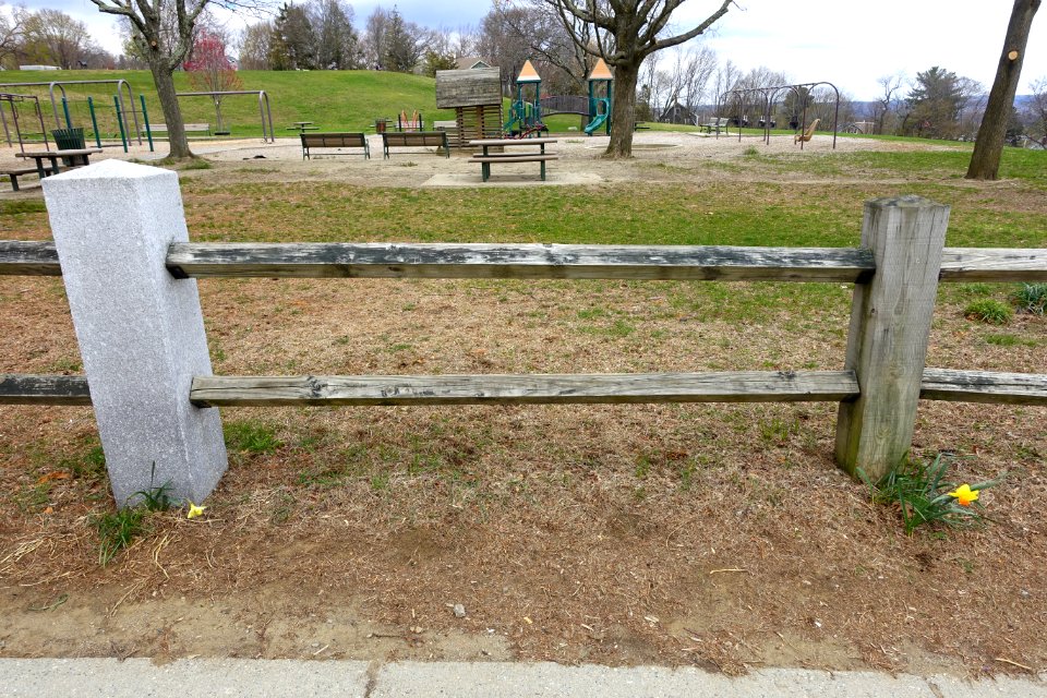 Fence - Arlington, MA - DSC00546