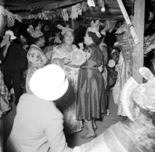Feest in Paramaribo, Bestanddeelnr 252-2446