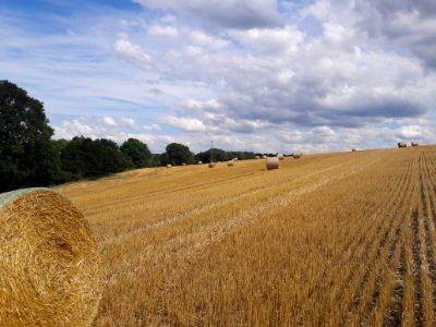 Feld Graitschen, Bürgel 1
