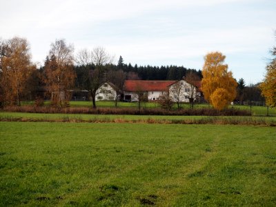Felderhof Ettringen photo