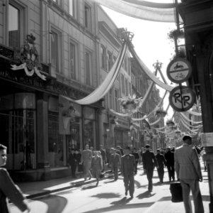 Feestversiering in de Kalverstraat, Bestanddeelnr 255-7207