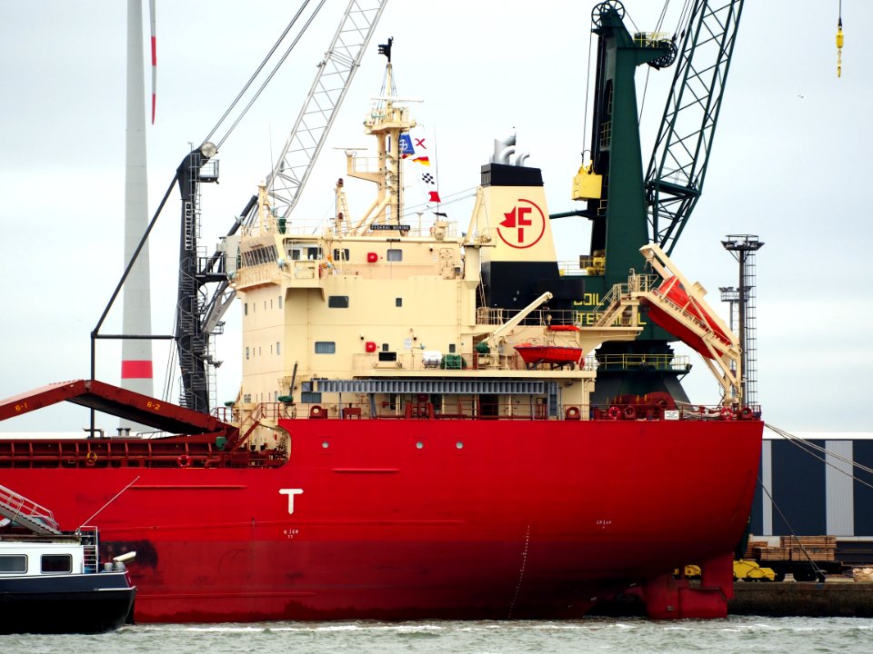 Federal Bering (ship, 2015), IMO 9697832, Port of Antwerp pic2