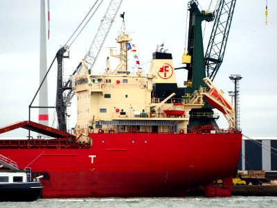 Federal Bering (ship, 2015), IMO 9697832, Port of Antwerp pic2