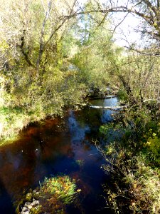 Fejmanka (Riebini north - Reiniki)