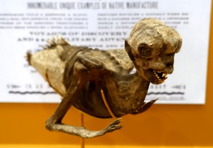 Feejee Mermaid, shown in P.T. Barnum's American Museum, 1842, as leased from Moses Kimball of the Boston Museum, papier-mache - Peabody Museum, Harvard University - DSC06156