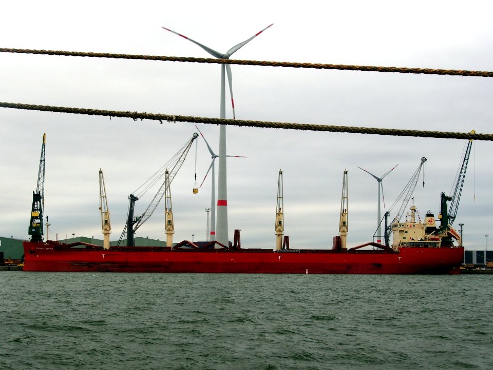 Federal Bering (ship, 2015), IMO 9697832, Port of Antwerp pic1