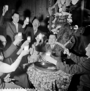 Feest bij boer Kover in Oterleek, Annie leverde 100000st liter melk, Bestanddeelnr 911-0265