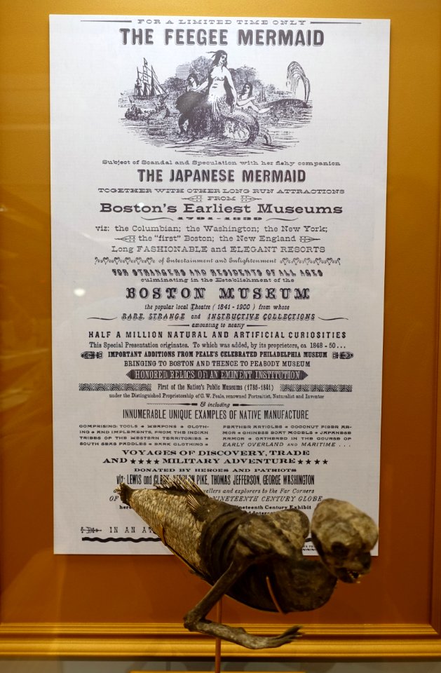 Feejee Mermaid, shown in P.T. Barnum's American Museum, 1842, as leased from Moses Kimball of the Boston Museum, papier-mache - Peabody Museum, Harvard University - DSC06158