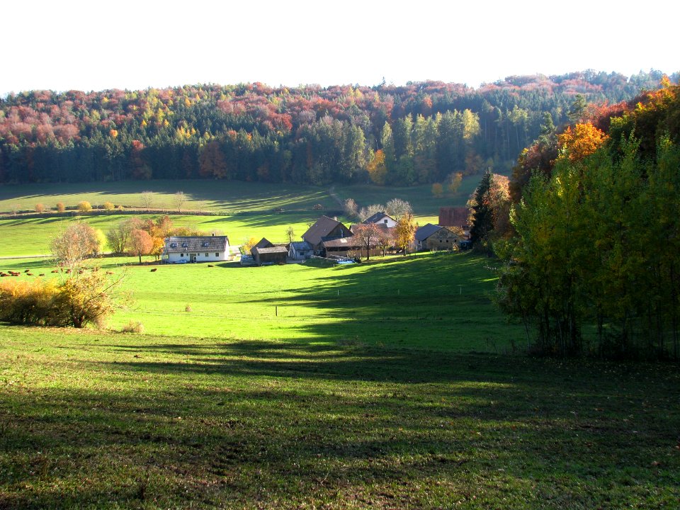 Feinschluck, OT von Thalmässing (3)