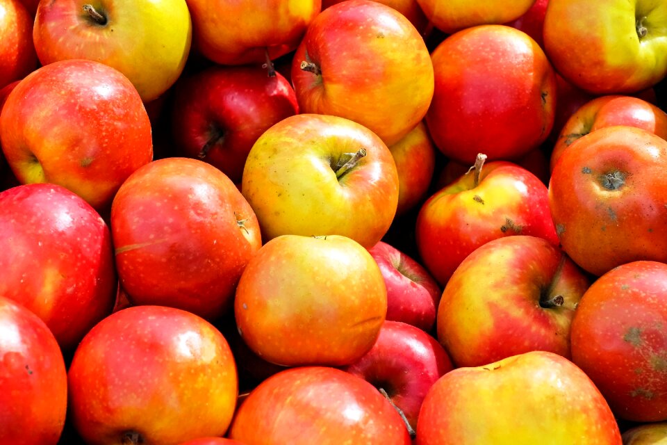 Delicious vitamins harvest