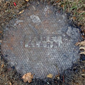 Fire Alarm - Arlington, MA - DSC05993