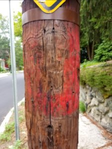 Fire alarm pole - Utility pole - Arlington, MA - 20200808 095502