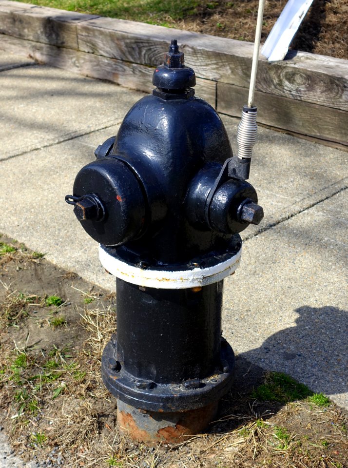 Fire hydrant - Arlington, MA - DSC09339