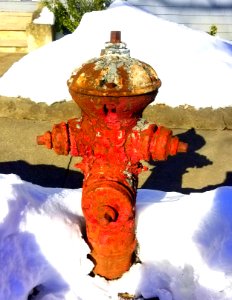 Fire hydrant - Arlington, MA - 20210212 095309
