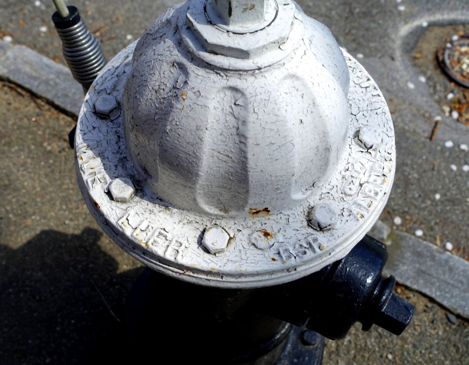 Fire hydrant, Mueller B.S.R., Albertville, Ala - DSC01375