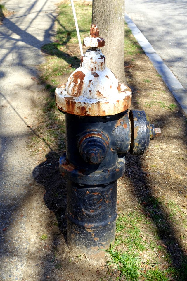 Fire hydrant, Eddy Valve Co, Waterford NY - Arlington, MA - DSC09368