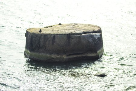 Findling Uskam (Rügen)