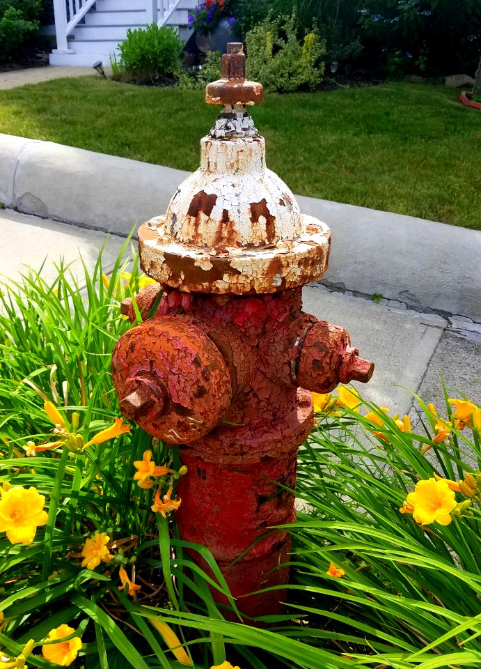 Fire hydrant - Arlington, MA - 20200627 100213