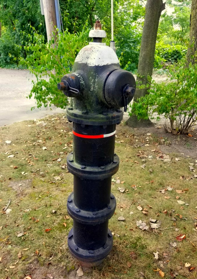 Fire hydrant - Arlington, MA - 20200922 110626