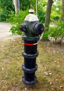 Fire hydrant - Arlington, MA - 20200922 110626