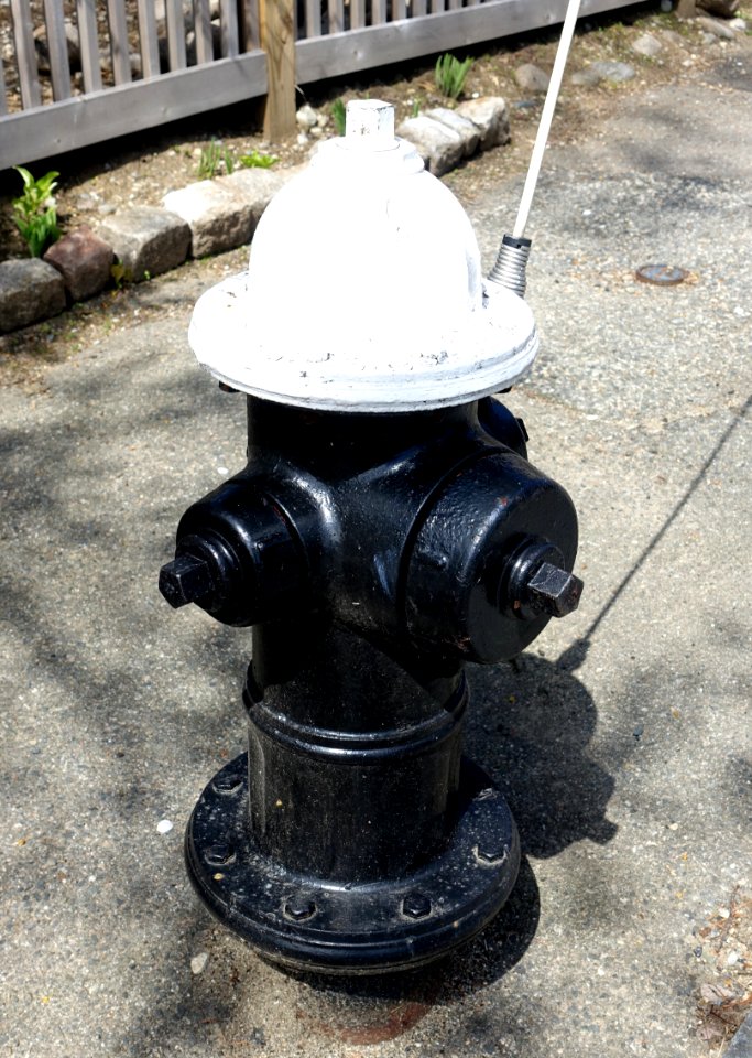 Fire hydrant, Mueller B.S.R., Albertville, Ala -DSC01373