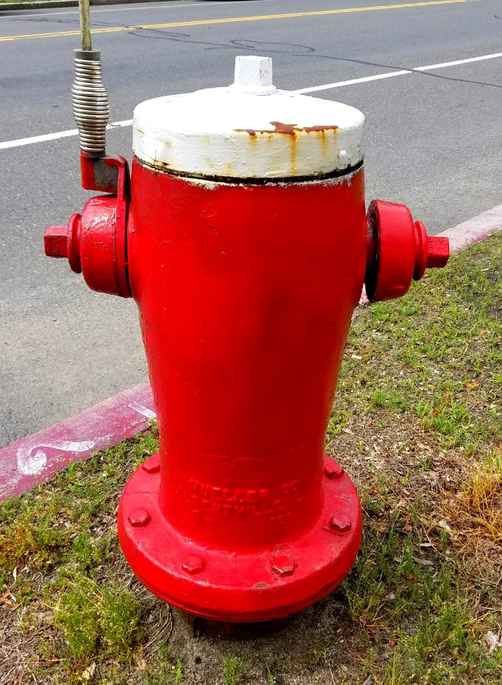 Fire hydrant, Mueller Co. Albertville AL fire hydrant - Arlington, MA - 20200612 104830