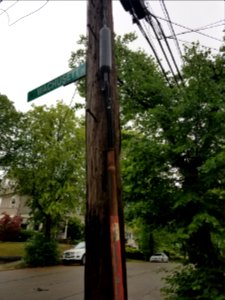 Fire alarm pole - Utility pole - Arlington, MA - 20200630 091212